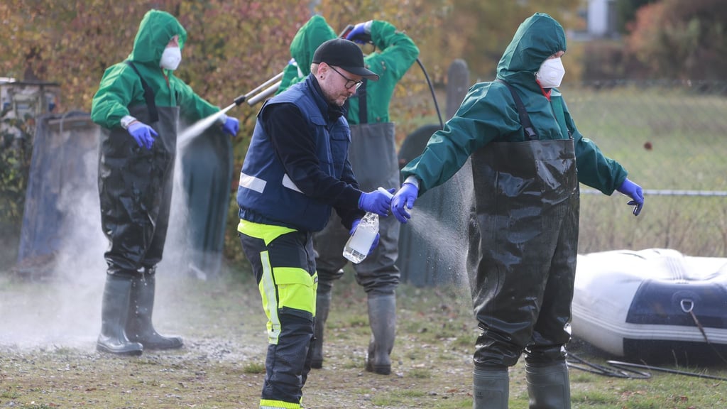 Die Thüringer Behörden haben Maßnahmen gegen eine weitere Ausbreitung der Vogelgrippe ergriffen. (Archivbild)