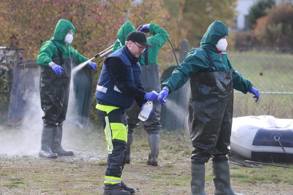 Die Thüringer Behörden haben Maßnahmen gegen eine weitere Ausbreitung der Vogelgrippe ergriffen. (Archivbild)