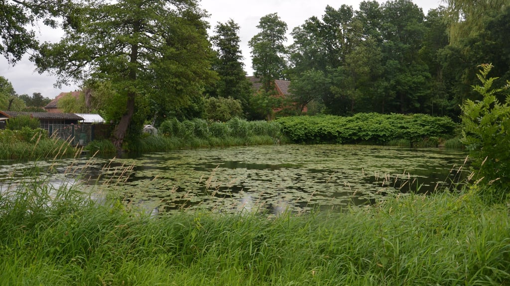 Der Dorfteich in Parchen trocknete in warmen Sommern häufig aus.