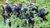 Polizisten durchsuchen einen Wald und eine Wiese.