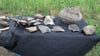 Neben Keramik wurden eine 3000 Jahre alte Schildkröte und eine bronzene Sichel gefunden.