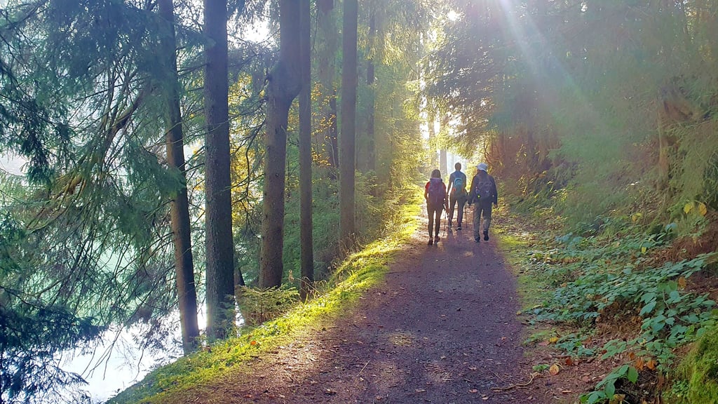 Wanderer im Südharz bei einer der Touren, die Bodo Schwarzberg organisiert.