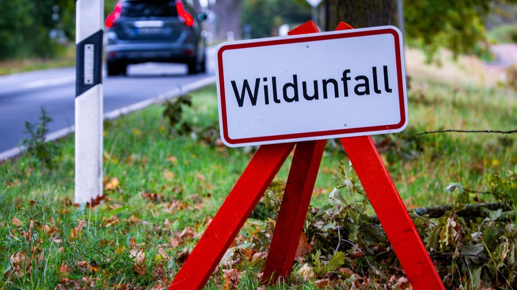 Vielerorts wird mit Schildern vor Wildunfällen gewarnt. (Symbolbild)