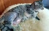 Beinbruch-OP nach Unfall.