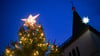 Die Stadt Beelitz spart an Weihnachtsbäumen: Die Exemplare für die Marktplätze fallen in diesem Jahr kleiner aus. (Archivbild)