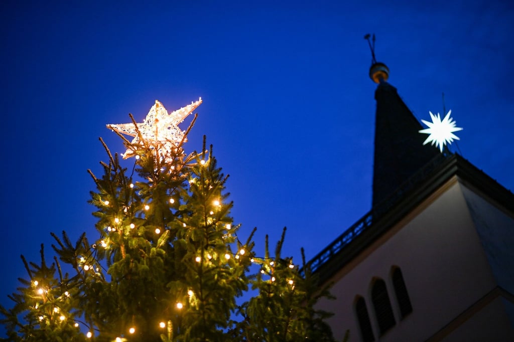 Die Stadt Beelitz spart an Weihnachtsbäumen: Die Exemplare für die Marktplätze fallen in diesem Jahr kleiner aus. (Archivbild)