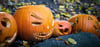 Auf dem Alten Friedhof wird am 31. Oktober gruslige Dekoration für Halloween aufgestellt.