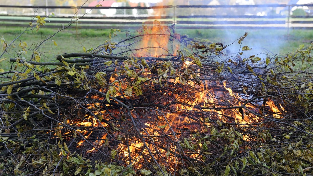 In manchen Landkreisen Sachsen-Anhalts ist das Verbrennen von Laub und Gartenabfällen erlaubt.