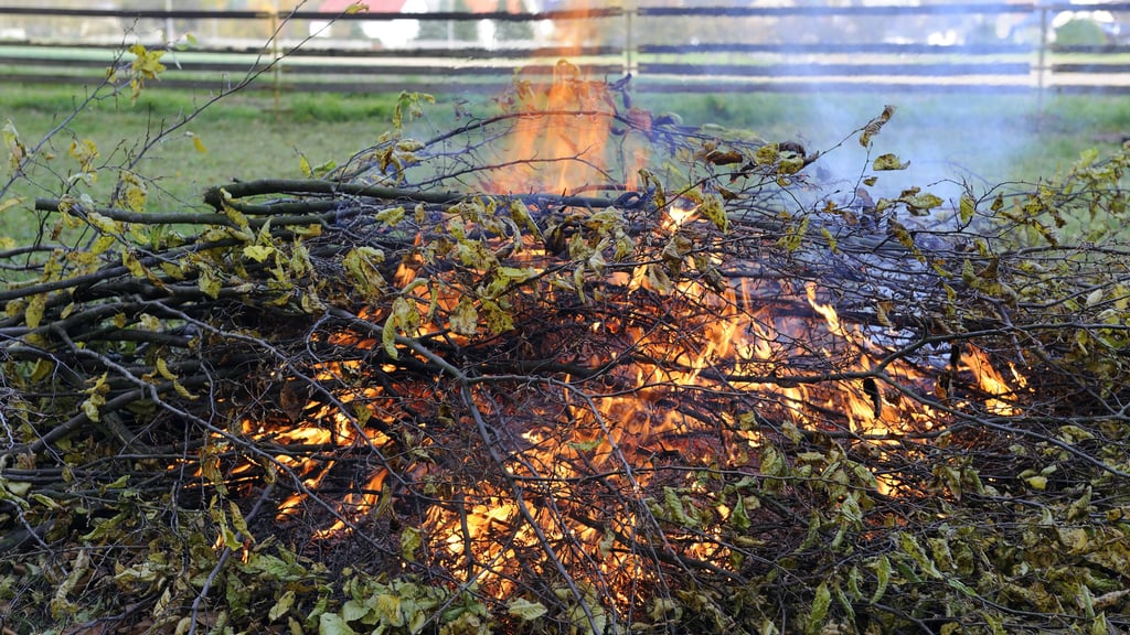 In manchen Landkreisen Sachsen-Anhalts ist das Verbrennen von Laub und Gartenabfällen erlaubt.