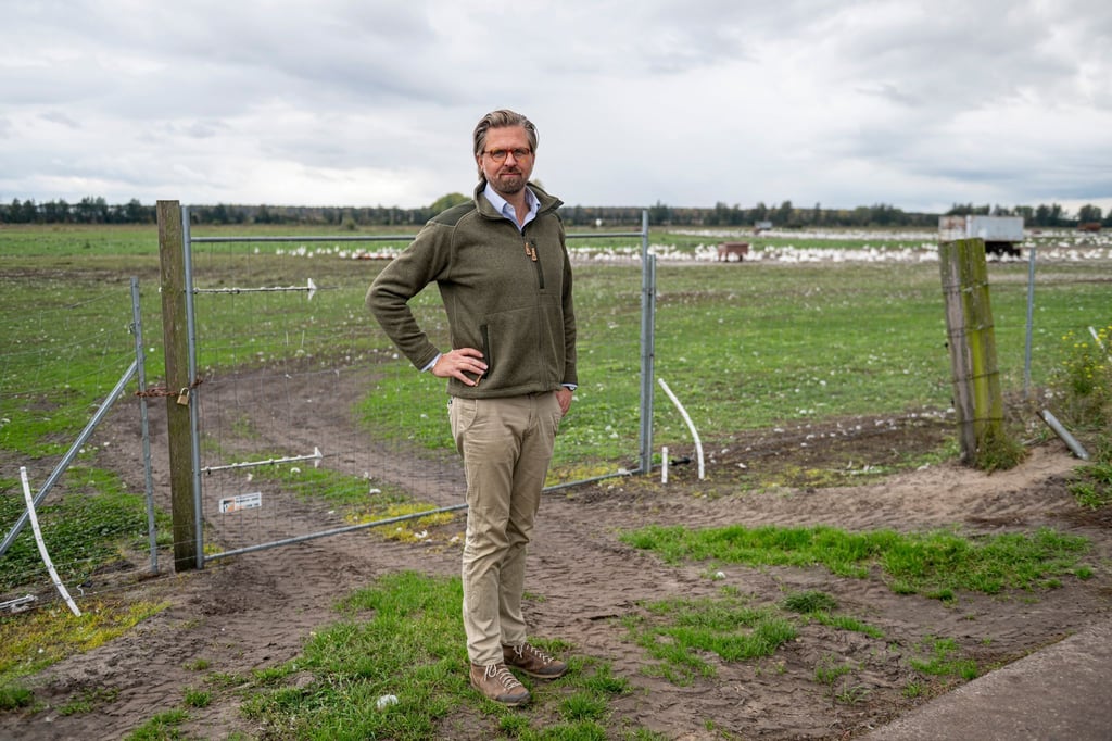 Der Betriebsleiter des Spargelhofs Kremmen, Malte Voigts, muss den Verlust seiner Gänse und Enten wegen der Vogelgrippe verkraften.