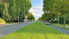 Fotomontage zeigt: So könnten die begrünten Gleisbetten in der Franzstraße aussehen.