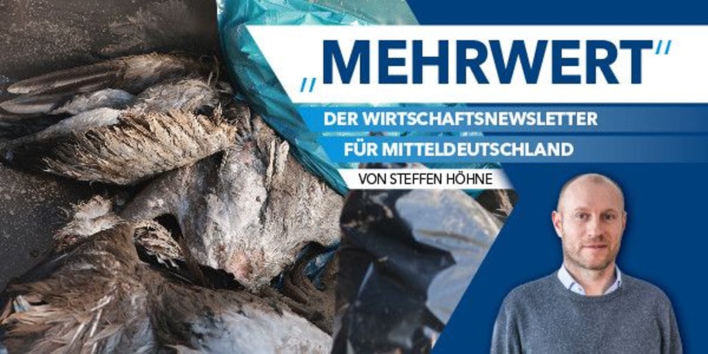 Newsletter Vogelgrippe