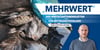 Newsletter Vogelgrippe