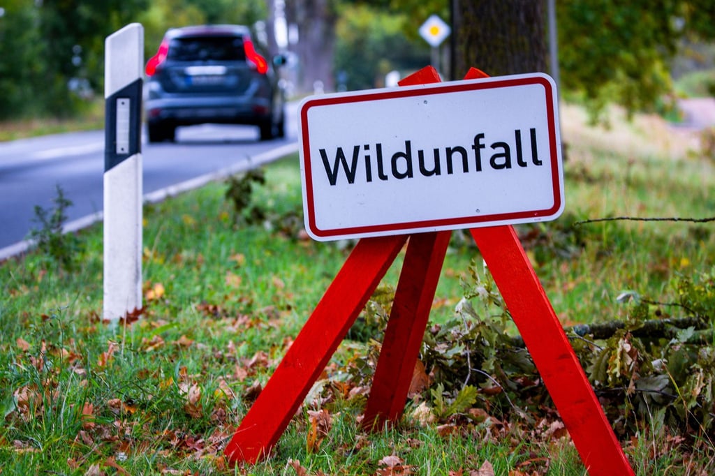 Vielerorts wird mit Schildern vor Wildunfällen gewarnt. (Symbolbild)