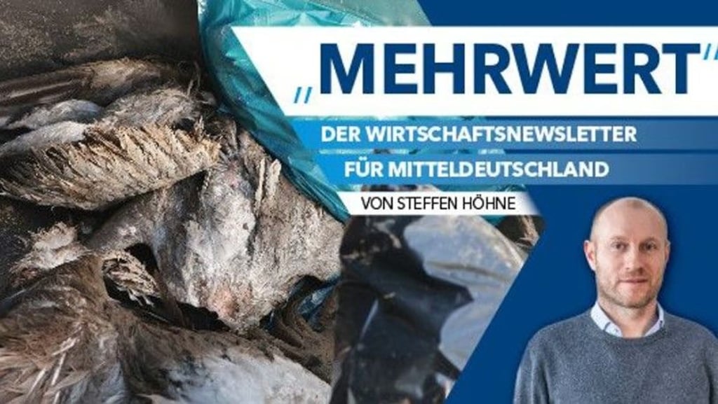 Über Wirtschaft schreibt Steffen Höhne im Newsletter Mehrwert.