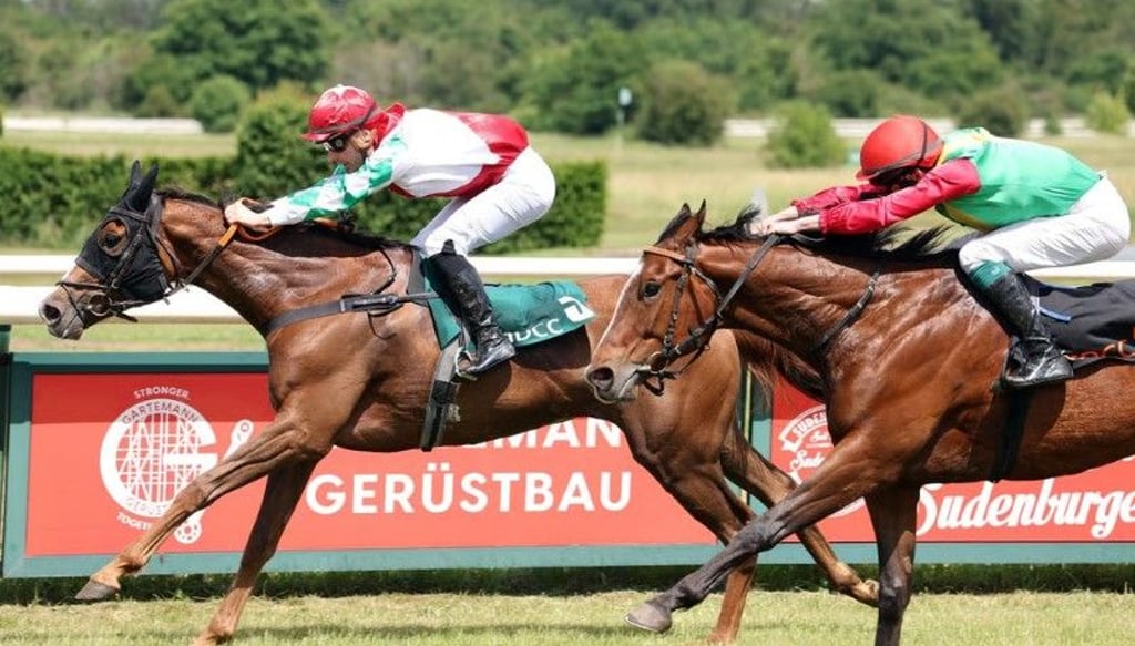 Rosel (l.) ist das erste eigene Rennpferd des Vereins Rennstall Passendorfer Wiesen und eine wahre Erfolgsgeschichte. Hier siegte sie dieses Jahr beim Rennen in Magdeburg.