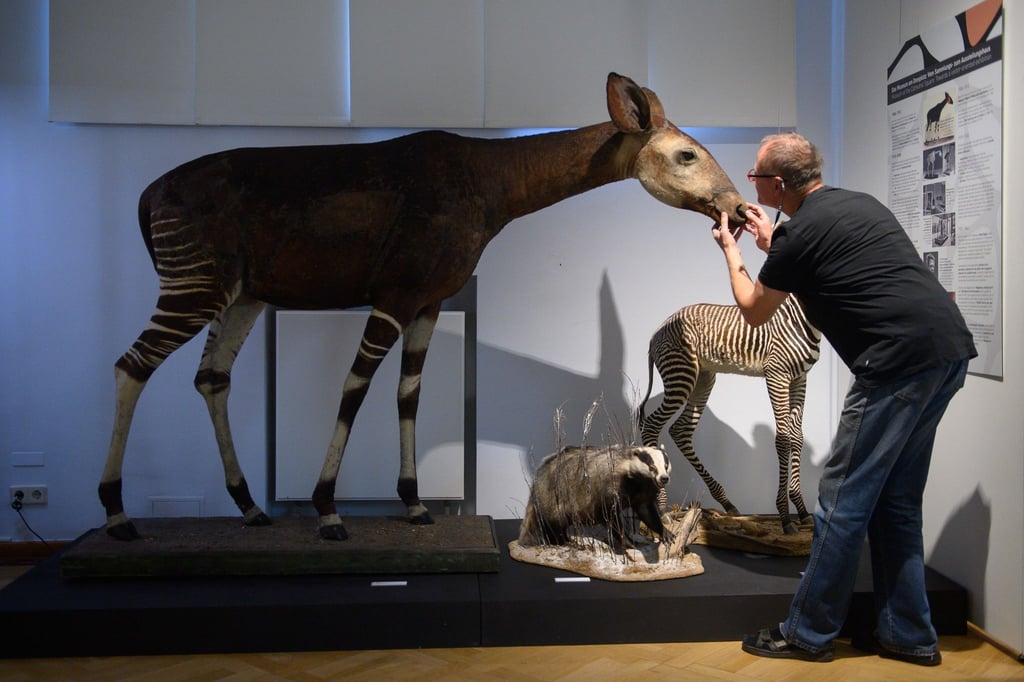 Peter Chwalisz ist eigentlich seit zweieinhalb Jahren im Ruhestand. Für die Sonderausstellung kam er noch einmal zurück.