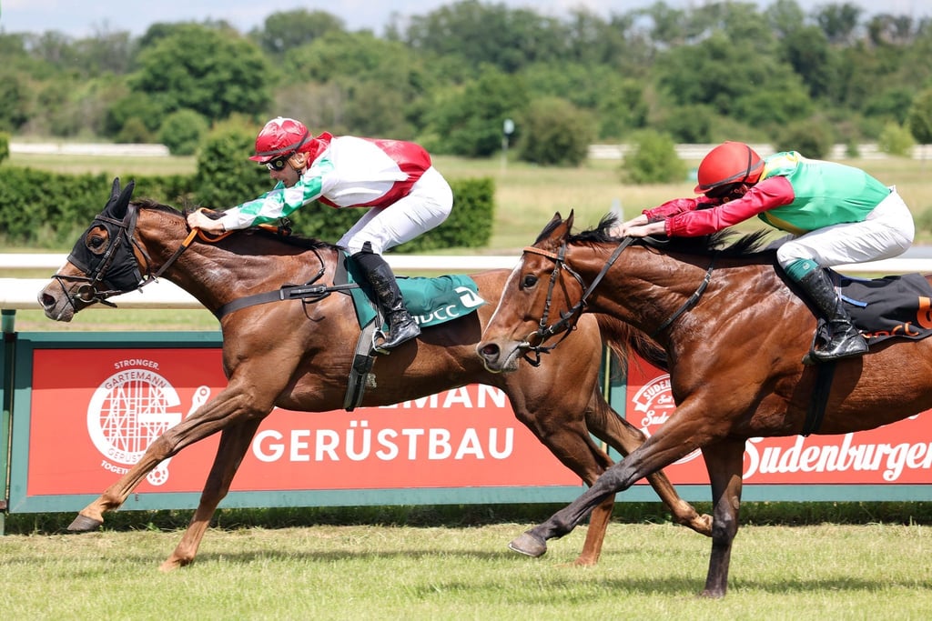 Rosel (l.) ist das erste eigene Rennpferd des Vereins Rennstall Passendorfer Wiesen und eine wahre Erfolgsgeschichte. Hier siegte sie dieses Jahr beim Rennen in Magdeburg.