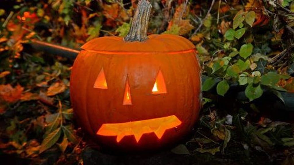 Geschnitzte Kürbisse werden auch auf den verschiedenen Veranstaltungen im Landkreis Börde am Halloween-Wochenende zu sehen sein.