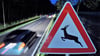 Wildwechselschilder am Straßenrand sollten Verkehrsteilnehmer unbedingt ernst nehmen.