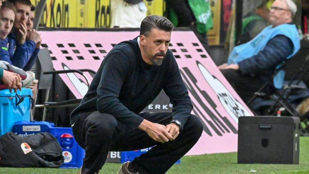 Sandro Wagner beim Bundesliga-Spiel gegen den 1. FC Köln.