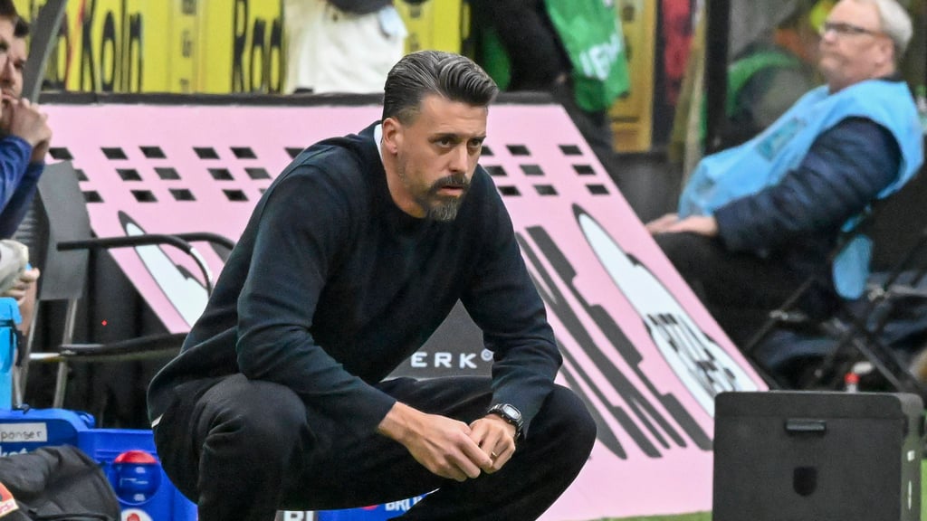 Sandro Wagner beim Bundesliga-Spiel gegen den 1. FC Köln.