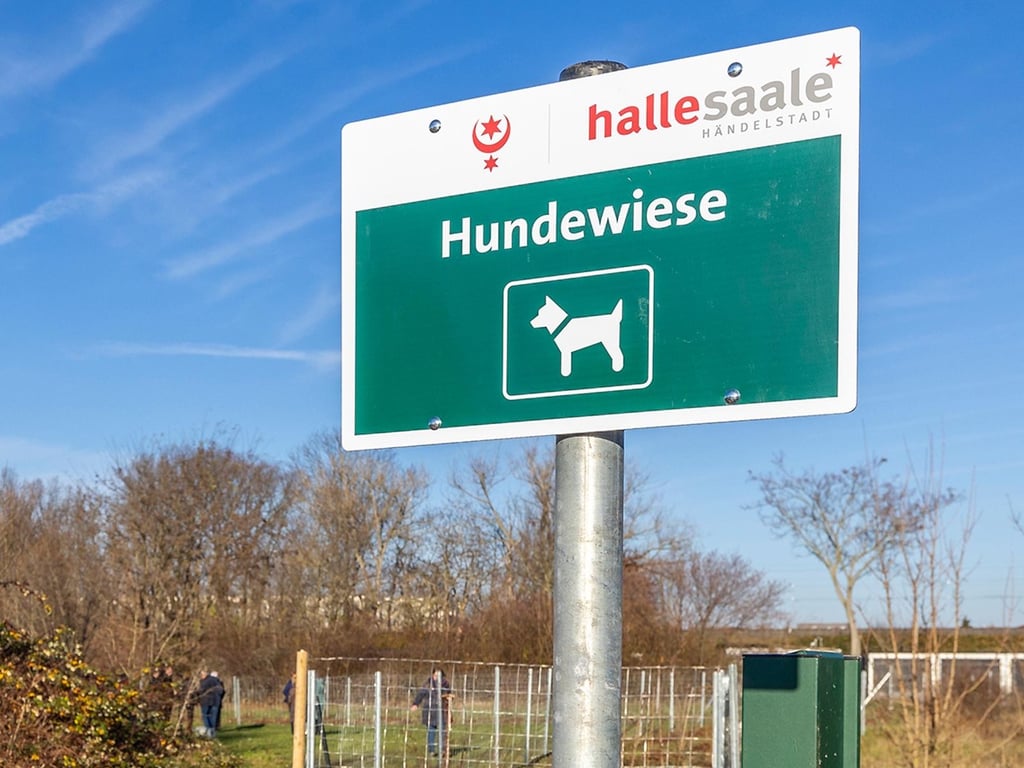 Hundewiesen soll es bald mehr in Halle geben.