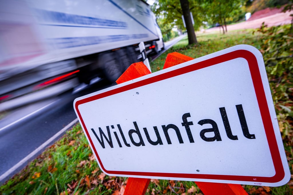 Vielerorts wird mit Schildern vor Wildunfällen gewarnt. (Symbolbild)
