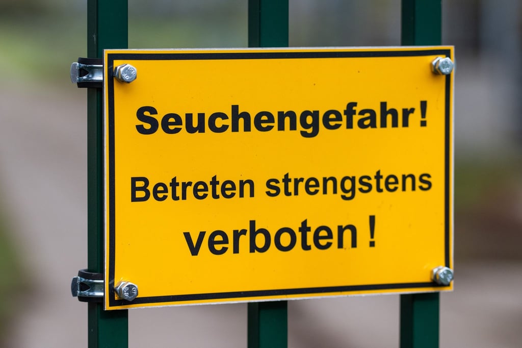 Die Vogelgrippe stürzt viele Reginoen in die Krise. Im Linumer Teichland müssen Helfer wegen der Tierseuche massenhaft tote Kraniche beseitigen.