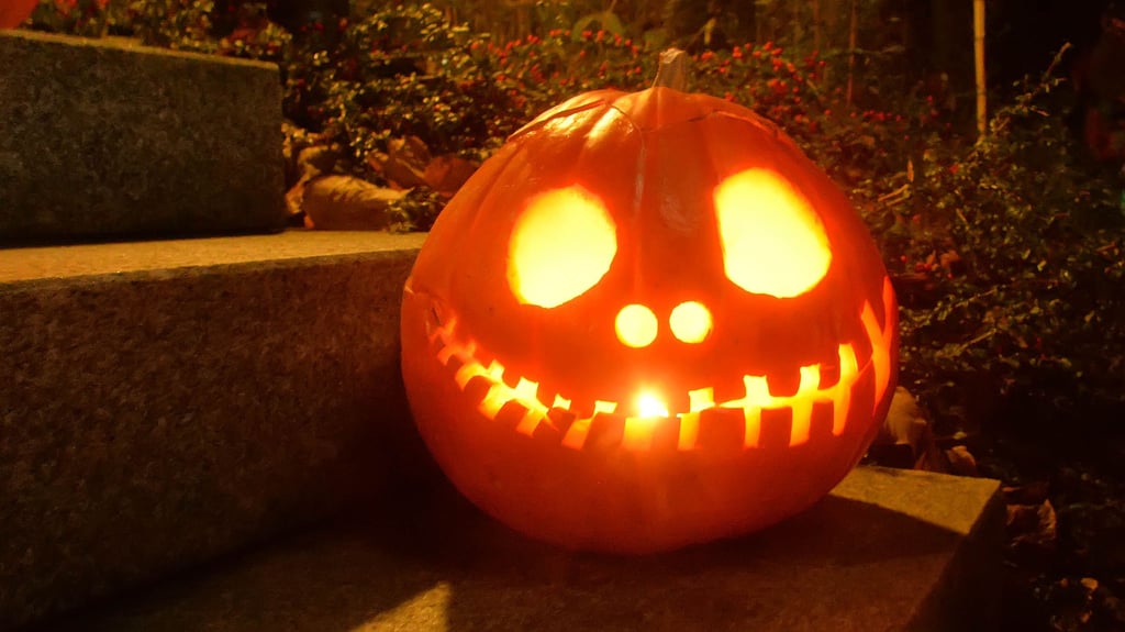 Geschnitzte Kürbisse werden auch auf den verschiedenen Veranstaltungen im Landkreis Börde am Halloween-Wochenende zu sehen sein.