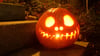 Geschnitzte Kürbisse werden auch auf den verschiedenen Veranstaltungen im Landkreis Börde am Halloween-Wochenende zu sehen sein.