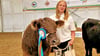 Carolin Fiedler vom Freigut Garsena mit ihrem 1a-Galloway-Rind beim Jungzüchterwettbewerb in Mecklenburg-Vorpommern. 