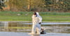 Ein Helfer im Schutzanzug zieht im Linumer Teichland einen toten Kranich aus dem Wasser.