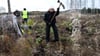 Das Bergwaldprojekt hat in 35 Jahren unter anderem zahlreiche Bäume gepflanzt.