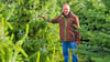 Sven Theile auf seiner Weihnachtsbaumplantage in Branderoda. Hier können Kunden ihre Bäume selbst aussuchen und fällen.