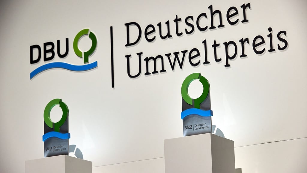 In der Kulturhauptstadt Chemnitz wird in diesem Jahr der Deutsche Umweltpreis vergeben. (Archivfoto)