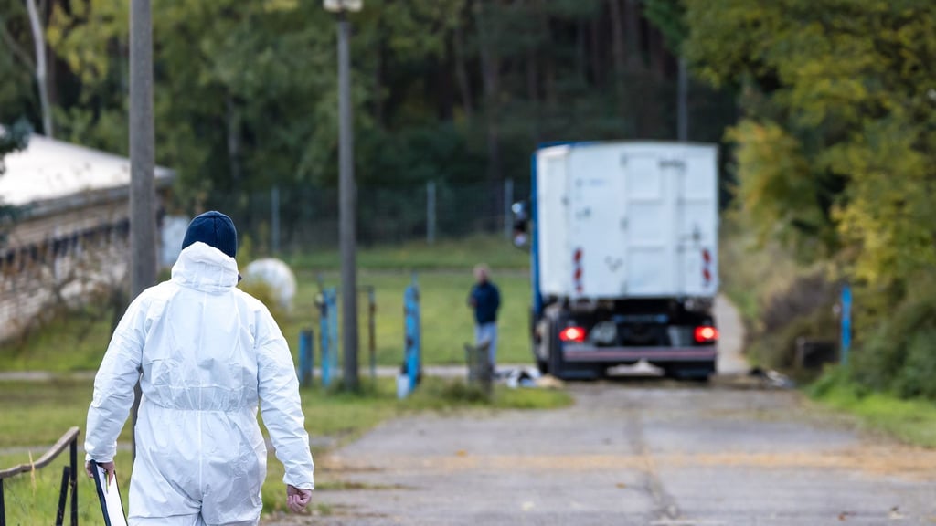 Experten in Schutzanzügen sind in Neuhardenberg im Einsatz, weil dort 80.000 Enten in einem Betrieb wegen der Vogelgrippe getötet werden müssen.