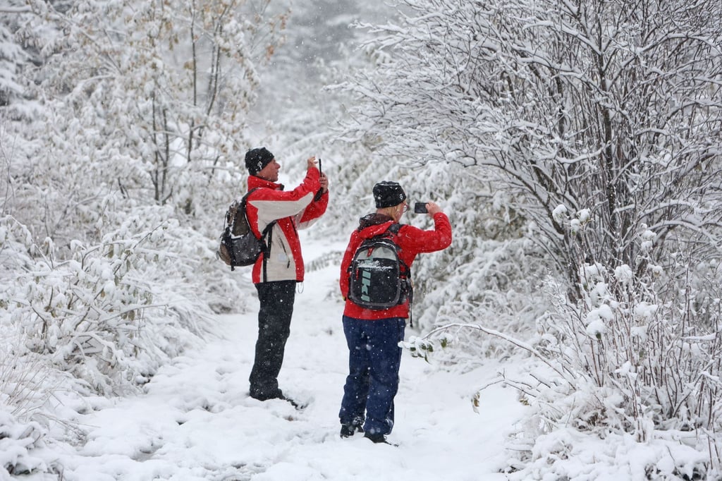 Die ersten Schneeflocken der Saison haben den Harz erreicht.