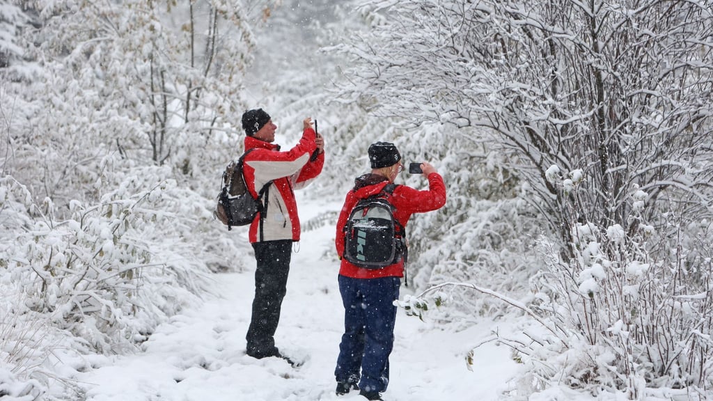 Die ersten Schneeflocken haben den Harz erreicht.