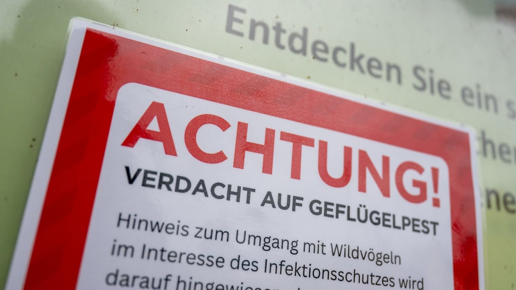 Der Landkreis Gotha hat zum Schutz vor der Geflügelpest eine Stallpflicht für Geflügel und andere als Haustiere gehaltenen Vögel verhängt. (Symbolbild)