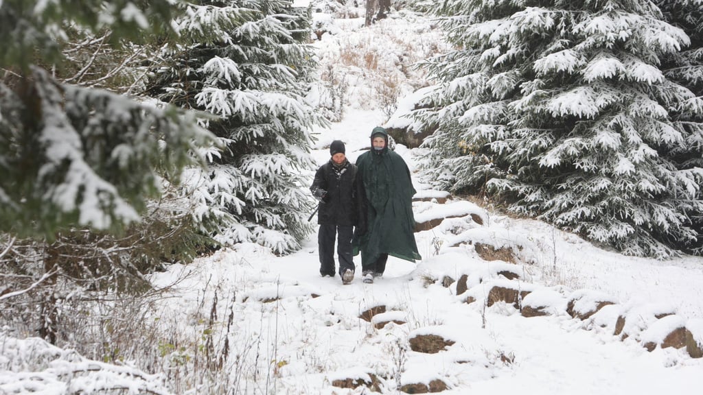 Die ersten Schneeflocken haben den Harz erreicht.