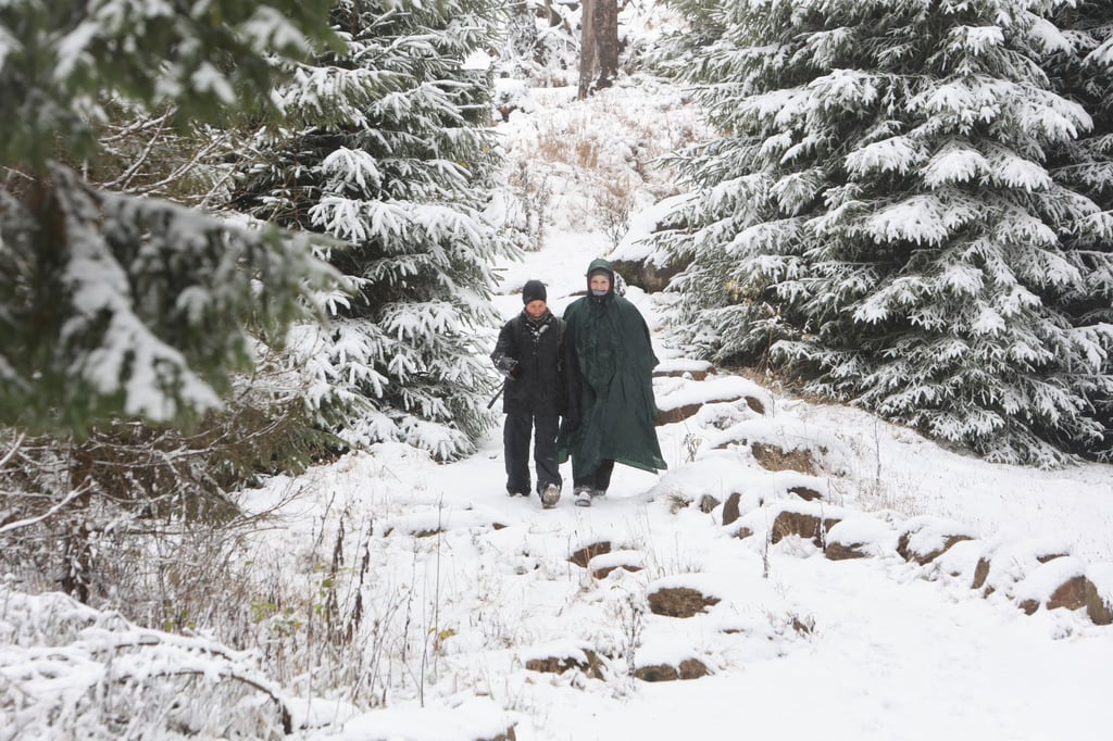 Die ersten Schneeflocken haben den Harz erreicht.