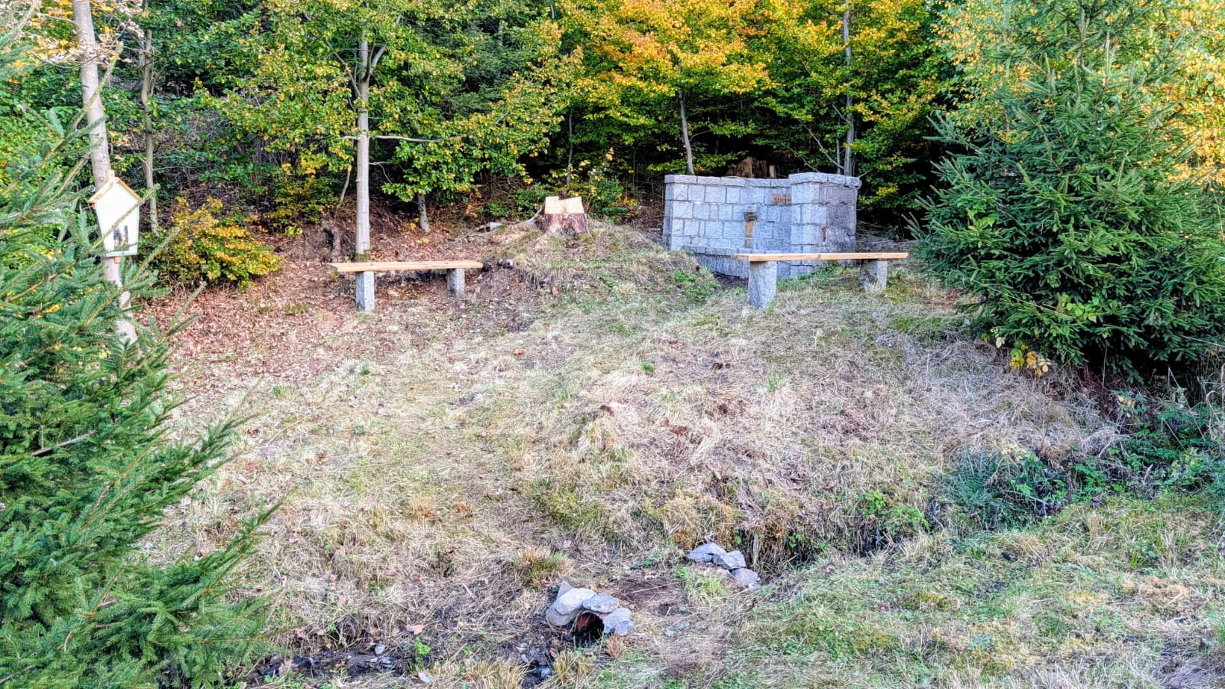 Bürger-Engagement in Tanne: Für die Region einst lebenswichtig: Oberharzer Verein setzt historische Trinkwasserquelle instand