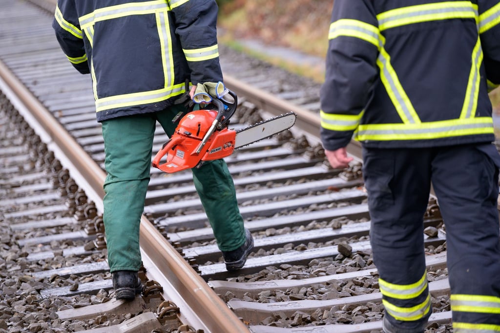 Ein umgestürzter Baum sorgte für Behinderungen auf der Bahnstrecke zwischen Norddeich Mole und Hannover. (Symbolbild)