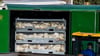 Nach dem Geflügelpest-Ausbruch in Neuhardenberg werden die Enten in einer Box mit Gas getötet.