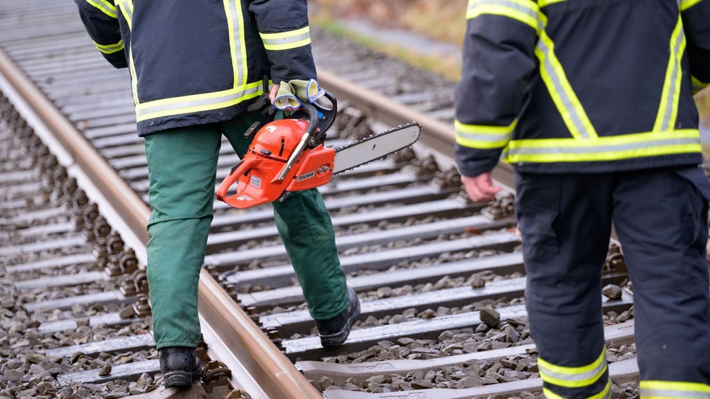 Ein umgestürzter Baum sorgt für Behinderungen auf der Bahnstrecke Norddeich Mole-Hannover. (Symbolbild)
