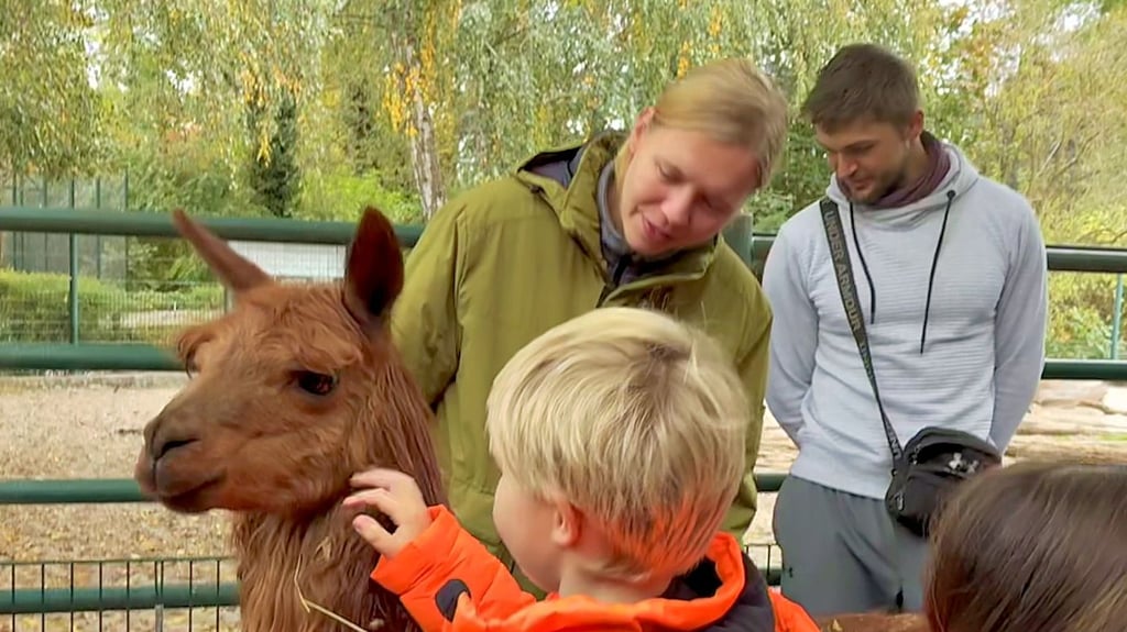 Im Gehege des Tiergartens in Stendal herrscht Trubel: Die Kinder streicheln eifrig die Alpakas, Leiterin Petra Staps (Mitte)  passt auf.