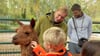 Im Gehege des Tiergartens in Stendal herrscht Trubel: Die Kinder streicheln eifrig die Alpakas, Leiterin Petra Staps (Mitte)  passt auf.