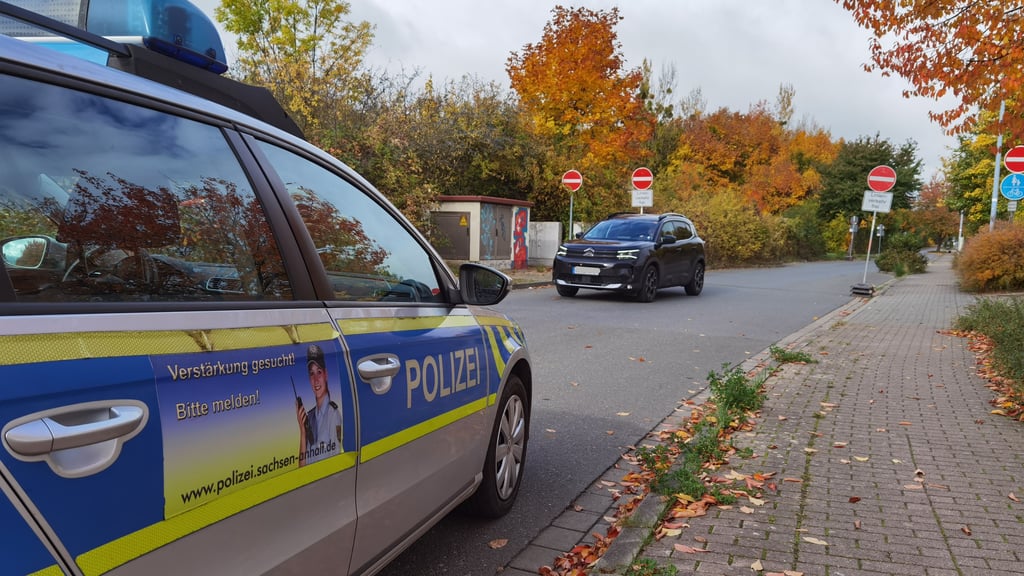 Dort gehts nicht weiter: Die Beschilderung Am Mönchenfelde in Richtung Lerchenbreite. Obwohl dort schon immer eine Einbahnstraße ist, versuchen Autofahrer sich dort hindurchzumogeln und die deutlich längere Umleitung in Blankenburg über die Michaelsteiner Straße zu vermeiden. Die Polizei kontrolliert dort jedoch regelmäßig.