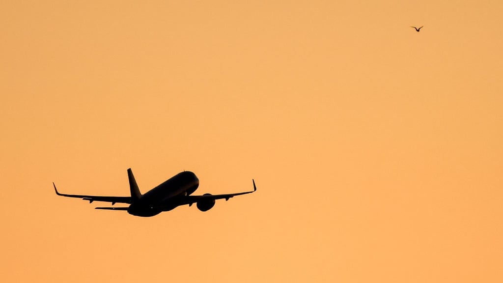 Die Polizei hat einen betrunkenen Passagier aus einem Flugzeug geholt. (Symbolbild)